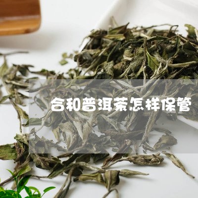 合和普洱茶怎样保管/2023062368371