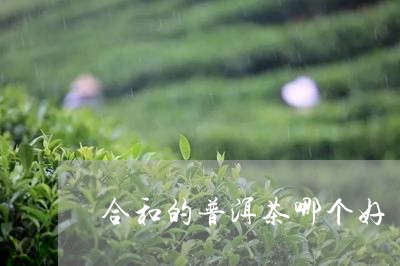 合和的普洱茶哪个好/2023092812804