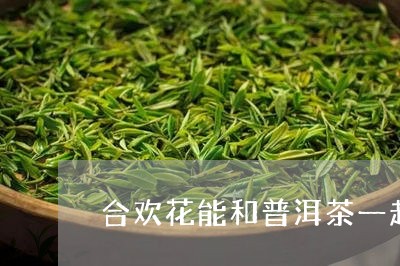 合欢花能和普洱茶一起喝吗/2023051130607