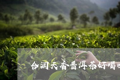 合润天香普洱茶好喝吗/2023061597192