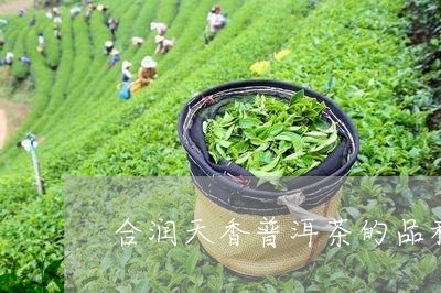 合润天香普洱茶的品种/2023061694927