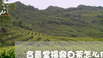 合熹堂福鼎白茶怎么保存/2023092552826