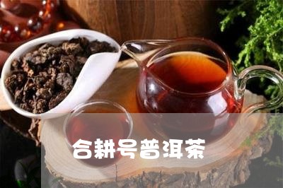 合耕号普洱茶/2023081583824