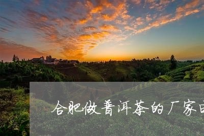 合肥做普洱茶的厂家电话/2023101793827