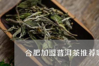 合肥加盟普洱茶推荐哪个/2023110520603