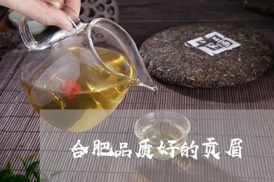 合肥品质好的贡眉/2023061326147