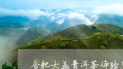 合肥大益普洱茶体验店/2023073181596