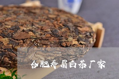 合肥寿眉白茶厂家/2023061348501