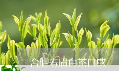 合肥寿眉白茶口感/2023090860281