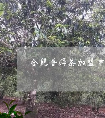 合肥普洱茶加盟市场好不好/2023051385149