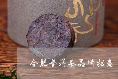 合肥普洱茶品牌招商/2023042909181