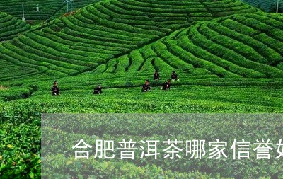 合肥普洱茶哪家信誉好喝/2023082934129