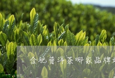 合肥普洱茶哪家品牌好点/2023112808289