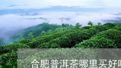 合肥普洱茶哪里买好喝点/2023082938060