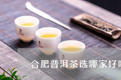 合肥普洱茶选哪家好喝又便宜/2023082946272