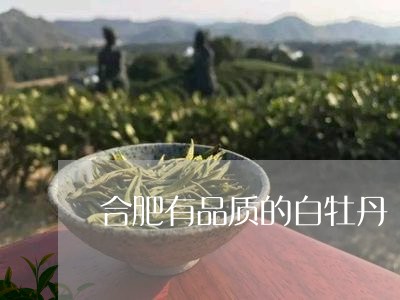 合肥有品质的白牡丹/2023120551482