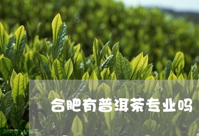 合肥有普洱茶专业吗/2023071153614