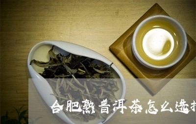 合肥熟普洱茶怎么选择/2023080310846