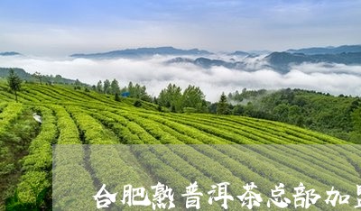 合肥熟普洱茶总部加盟/2023092573707