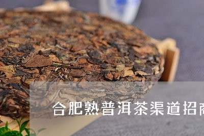 合肥熟普洱茶渠道招商/2023092549362