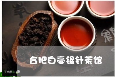 合肥白毫银针茶馆/2023090705926