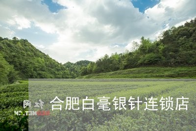 合肥白毫银针连锁店/2023121741814