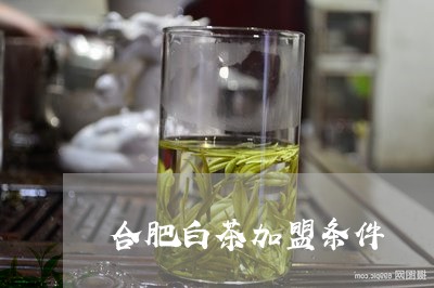 合肥白茶加盟条件/2023061371717