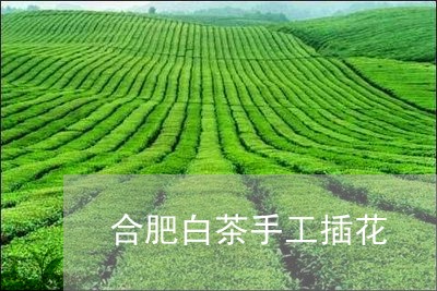 合肥白茶手工插花/2023061330805