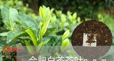 合肥白茶茶叶oem/2023071562627