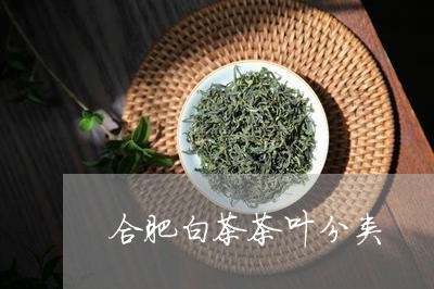 合肥白茶茶叶分类/2023061314957