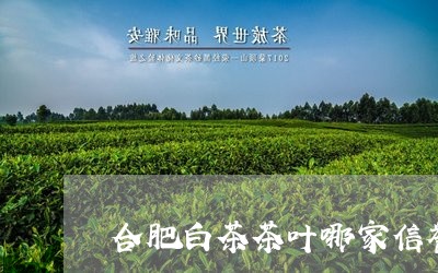 合肥白茶茶叶哪家信誉好/2023101388260