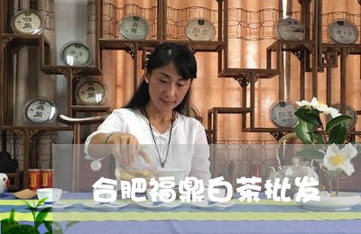 合肥福鼎白茶批发/2023061393148