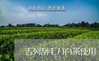 吉列刮毛刀白茶使用/2023081338704