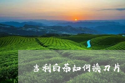 吉利白茶如何换刀片/2023071649836