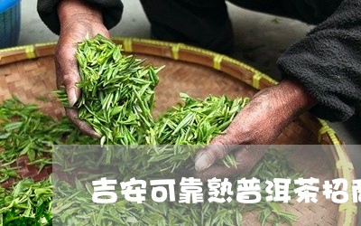 吉安可靠熟普洱茶招商/2023061482618