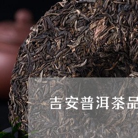 吉安普洱茶品牌/2023121821585
