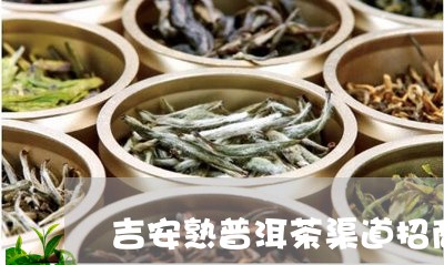 吉安熟普洱茶渠道招商/2023061406159