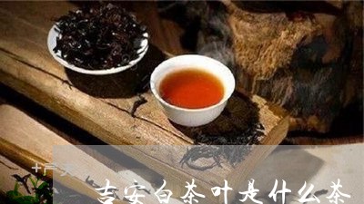 吉安白茶叶是什么茶/2023121780581