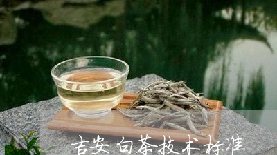 吉安白茶技术标准/2023061307686