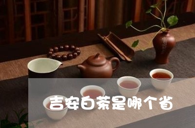 吉安白茶是哪个省/2023061327260