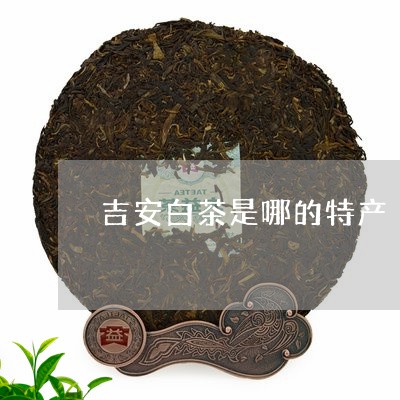 吉安白茶是哪的特产/2023081379591