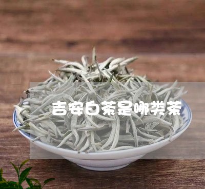 吉安白茶是哪类茶/2023061396149