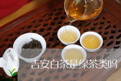 吉安白茶是绿茶类吗/2023121897249
