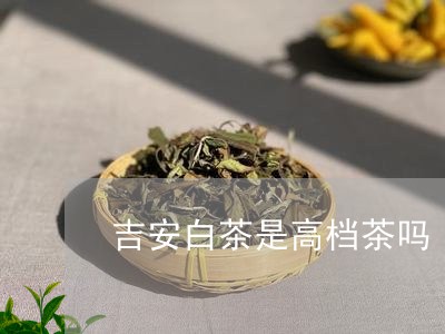 吉安白茶是高档茶吗/2023081345058