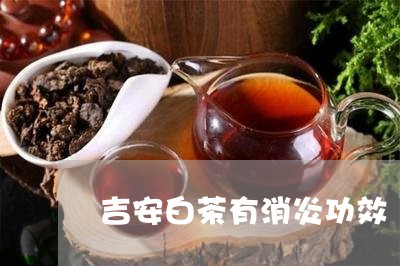 吉安白茶有消炎功效/2023071657593