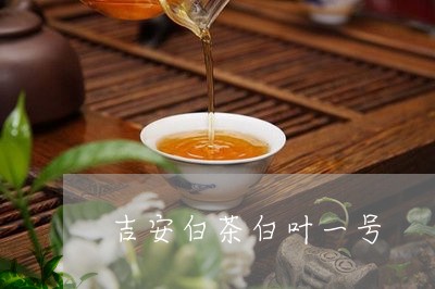 吉安白茶白叶一号/2023061322737