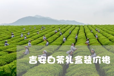 吉安白茶礼盒装价格/2023071657270