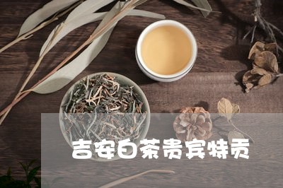 吉安白茶贵宾特贡/2023061329715