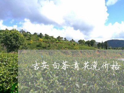 吉安白茶青花瓷价格/2023121809262