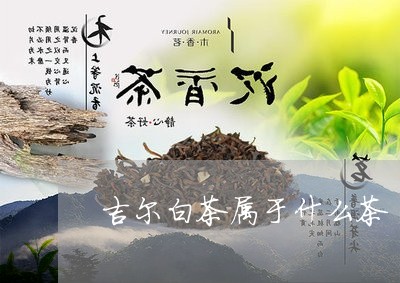 吉尔白茶属于什么茶/2023071661614